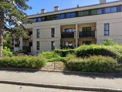 Coupe & Couture - Upcycling-Mode in Genf