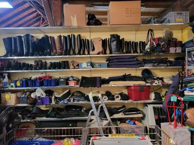 Second-hand Tierzubehör - Abbigliamento di seconda mano in Turgovia