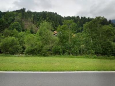 Lipp Martin - Second-hand Clothing in Lucerne