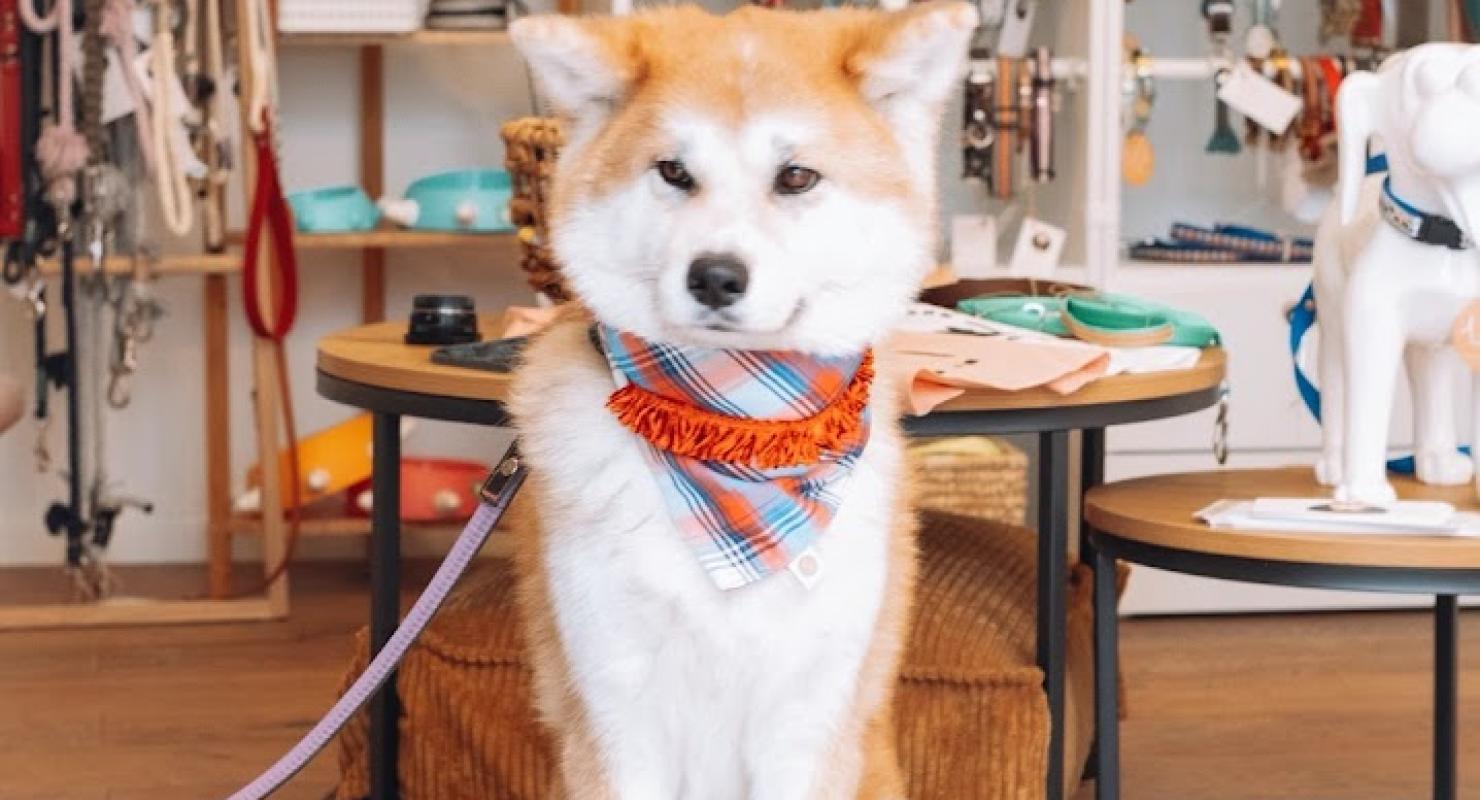 Woof & Woman - Riparazione e modifica in Vaud