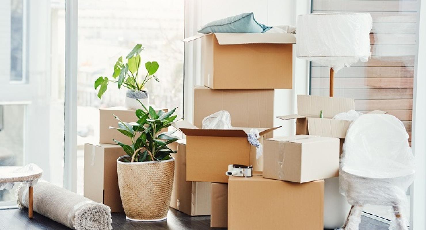 Entrümpeln-Befreit - Elcarpar Online Verkaufsservice Kleiderannahme Premium First & Secondhand - Second-Hand-Kleidung in Zürich
