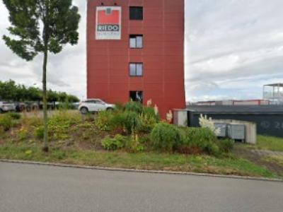 Lejo Shop - Moda upcycled in Friborgo